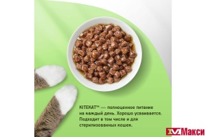 КОРМ ДЛЯ КОШЕК КОНСЕРВИРОВАННЫЙ "КИТИКЕТ" В АССОРТИМЕНТЕ 85Г ФОЛЬГИРОВАННЫЙ ПАКЕТ(говядина в соусе)