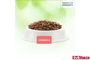 КОРМ Д/КОШЕК "PERFECT FIT" ИММУНИТЕТ 1,1КГ (говядина, лен, голубика)