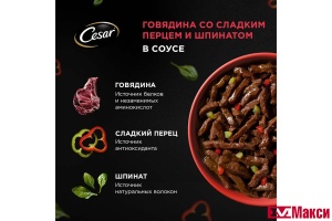 КОРМ ДЛЯ СОБАК "CESAR" 80Г ПАУЧ (с говядиной, паприкой и шпинатом в соусе)