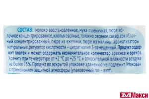 КАША "АГУША" МОЛОЧНАЯ 100Г (ВБД) (ДЕТСКОЕ ПИТАНИЕ) (БЗМЖ)(яблоко-ежевика-малина пшенично-овсяная)