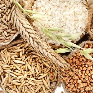 БАКАЛЕЯ, СПЕЦИИ